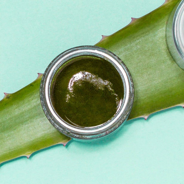 Green Tea Ingredient